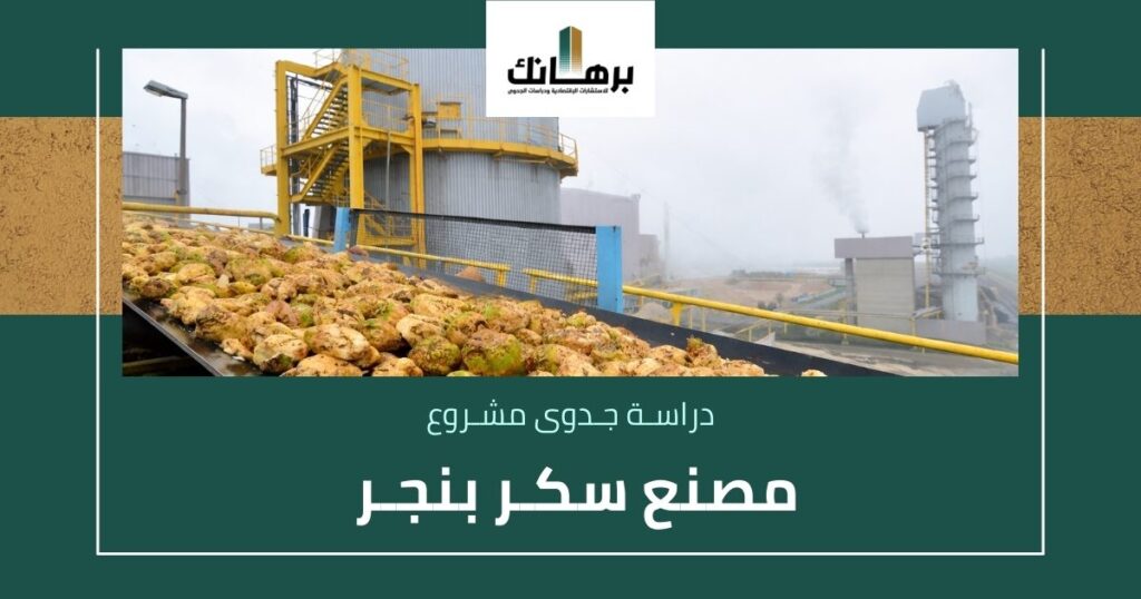 دراسة جدوى مصنع سكر بنجر
