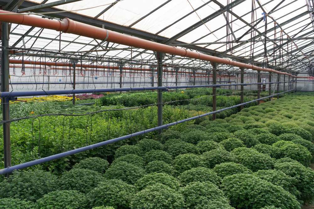 دراسة جدوى مصنع مخصبات زراعية