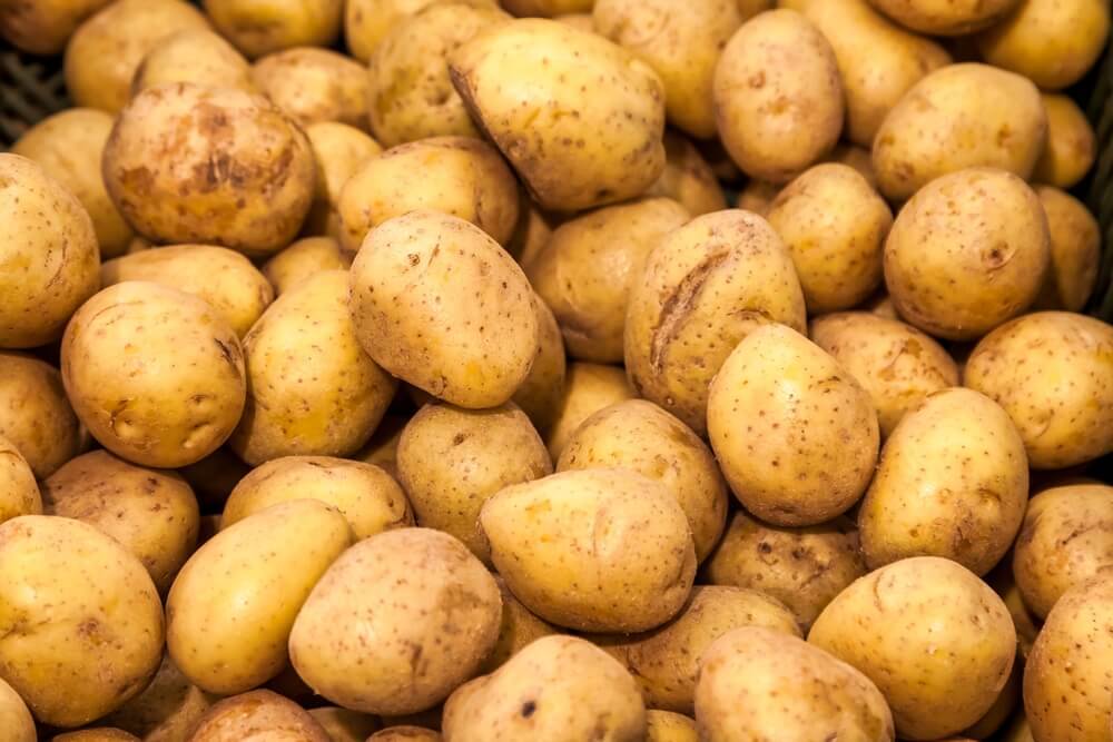 دراسة جدوى مشروع ثلاجة بطاطس