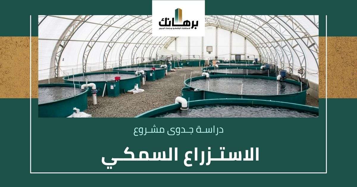 دراسة جدوى الاستزراع السمكي في السعودية
