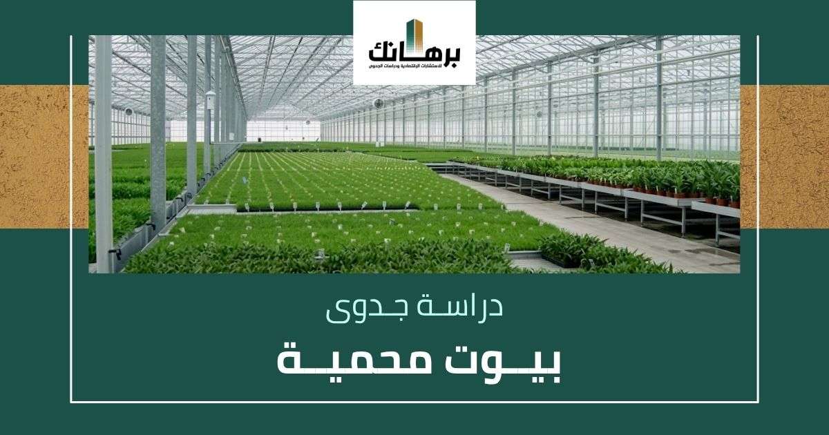 دراسة جدوى بيوت محمية