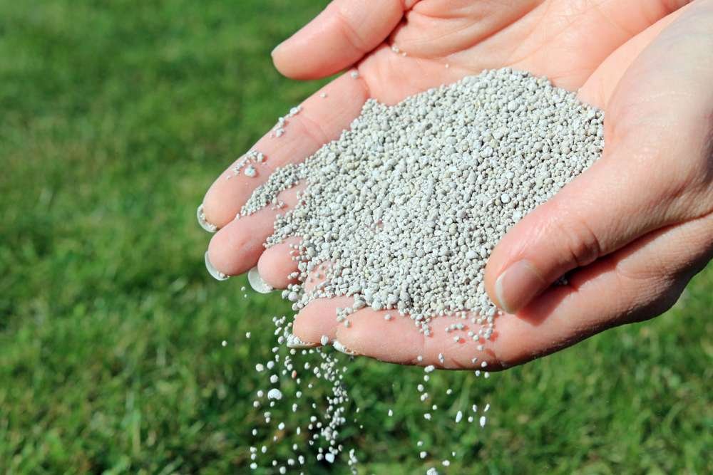 دراسة جدوى مصنع أسمدة كيماوية