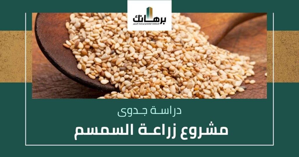 دراسة جدوى مشروع زراعة السمسم
