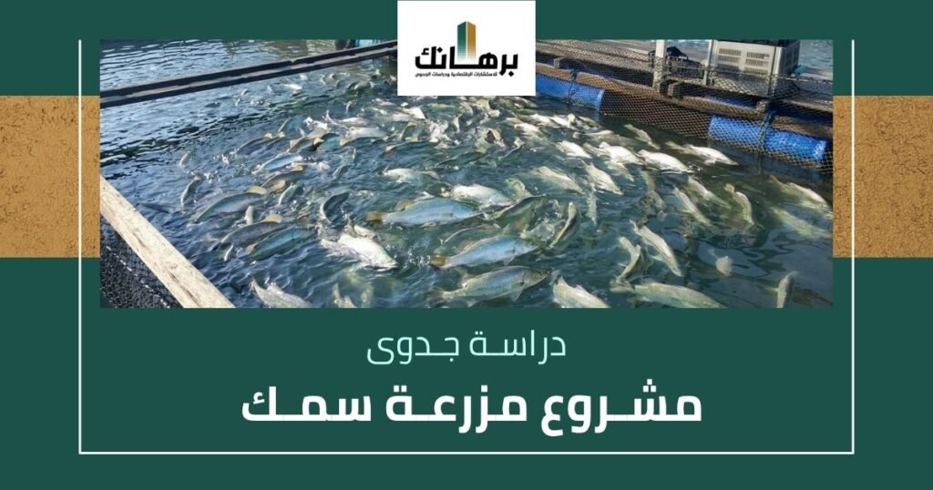 دراسة جدوى مشروع مزرعة سمك