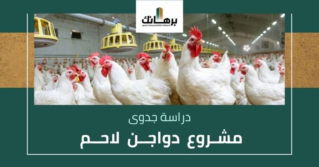 دراسة جدوى مشروع دواجن لاحم