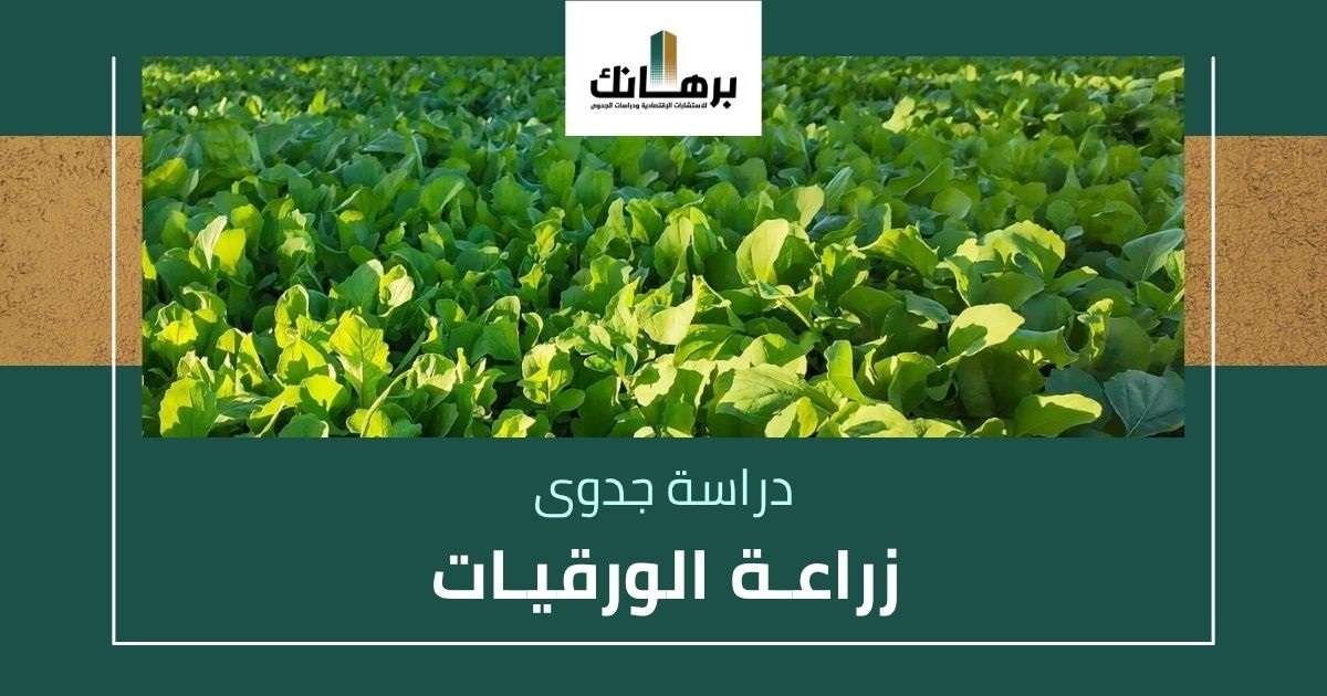 دراسة جدوى زراعة الورقيات
