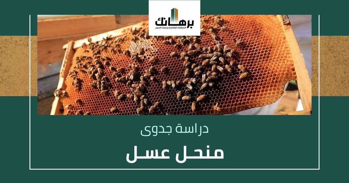 دراسة جدوى منحل عسل